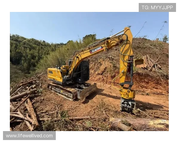 挖掘机林业采伐头自动切断功能